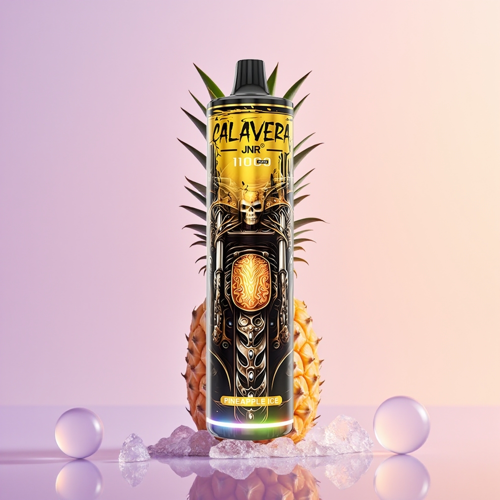 JNR Calavera 11000 Ananas Is Type-C 850mAh