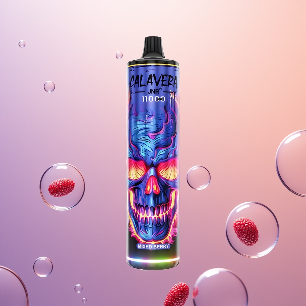 JNR Calavera 11000 Blandet Bær Type-C 850mAh