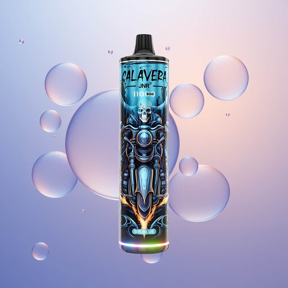 JNR Calavera 11000 Hr Blå Type-C 850 mAh