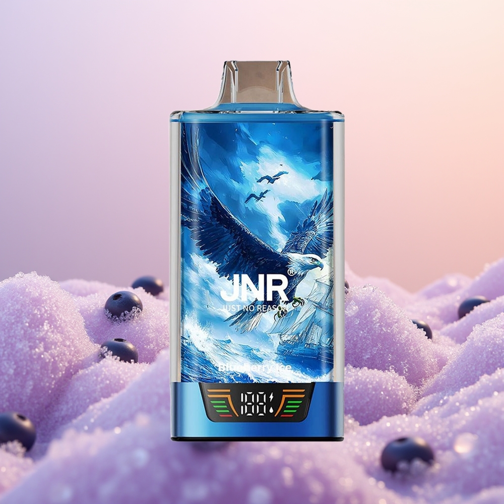 JNR Falcon Pro 28000 Blåbær Is 30ml 950mAh