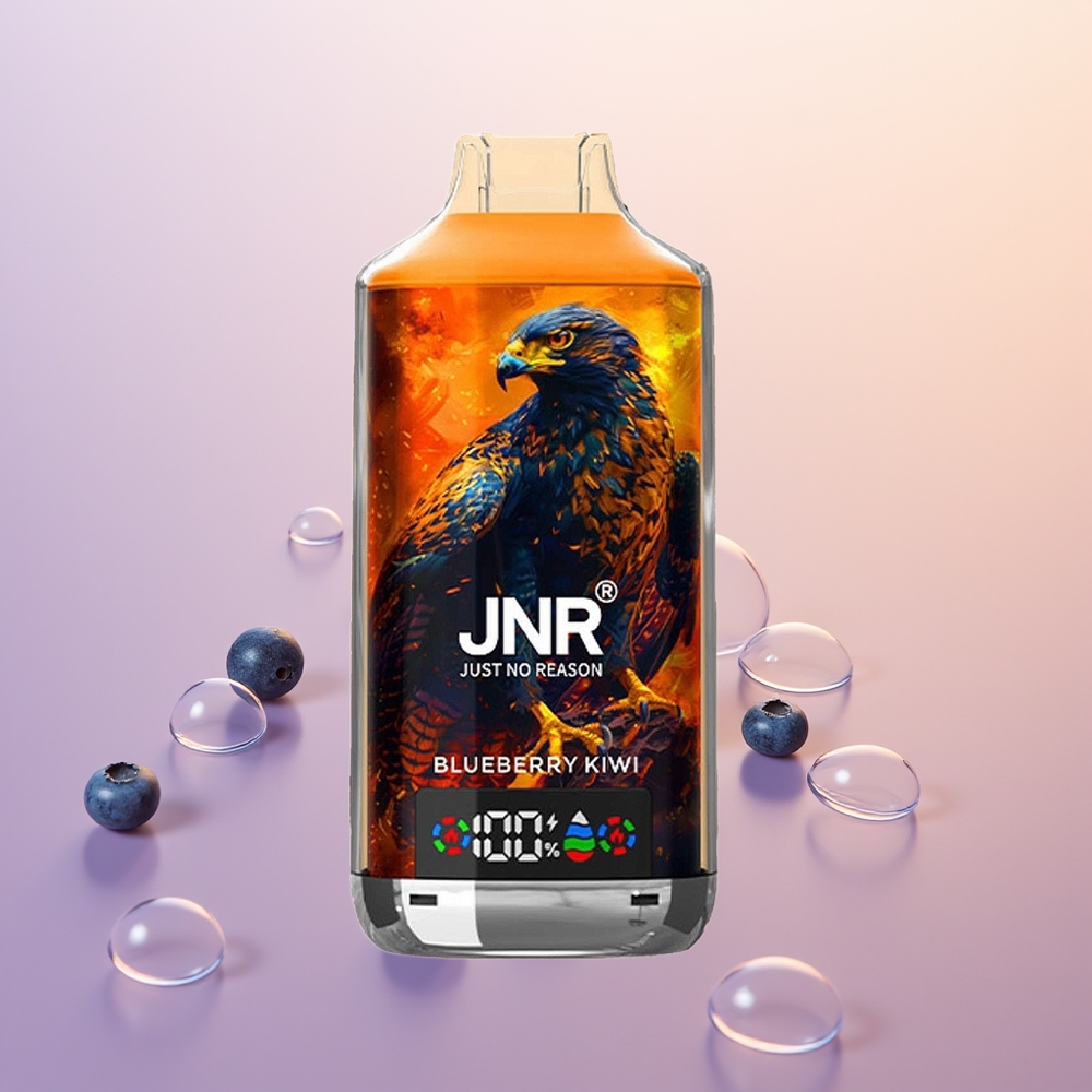 JNR Falcon X 18000 Blåbær Kiwi Dual Mesh Display Type-C