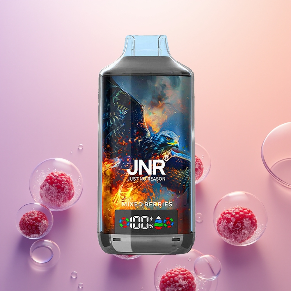JNR Falcon X 18000 Blandede Bær Digital Dual Mesh 750mAh Type-C