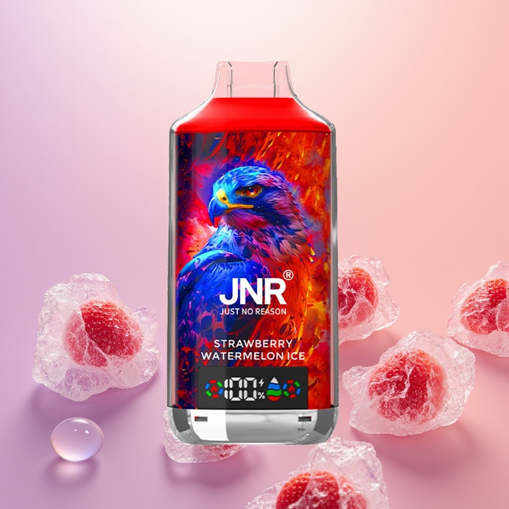 JNR Falcon X 18000 Jordbær Vandmelon Is Dual Mesh 24ml Digital