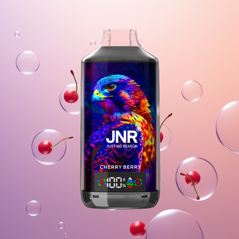 JNR Falcon X 18000 Kirsebær Bær Digital Type-C 750mAh 24ml Dual Mesh