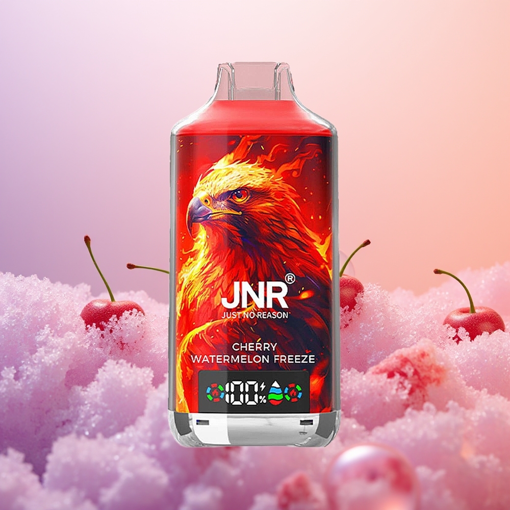 JNR Falcon X 18000 Kirsebærmelon Frost 750mAh Dual Mesh Digital