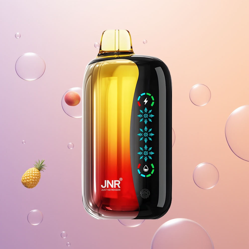 JNR Flex Ice 21000 Fersken Mango Ananas Isjusterbar Type-C