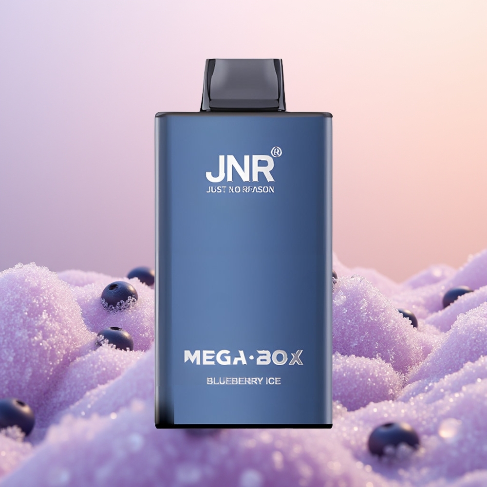 JNR Mega Box 25000 Blåbær Is Dual Mesh & Type-C