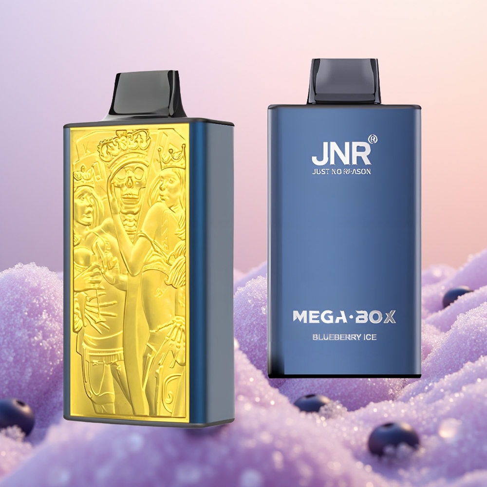 JNR Mega Box 25000 Blåbær Is Dual Mesh & Type-C