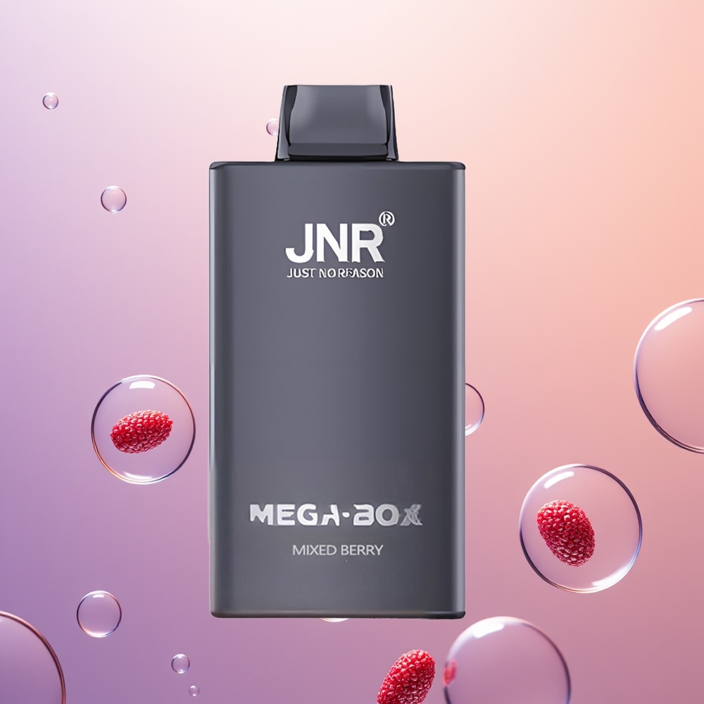 JNR Mega Box 25000 Blandet Bær Dual Mesh & Type-C