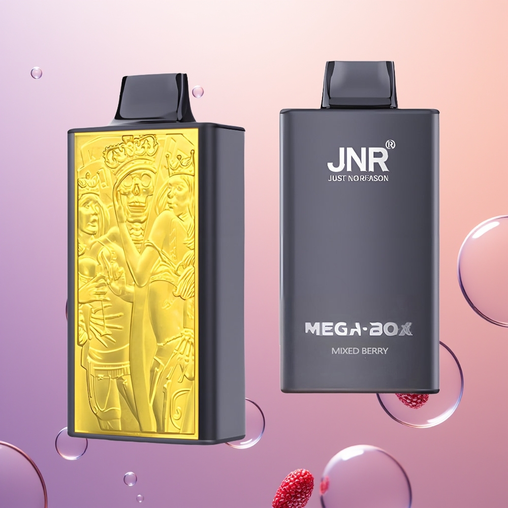 JNR Mega Box 25000 Blandet Bær Dual Mesh & Type-C