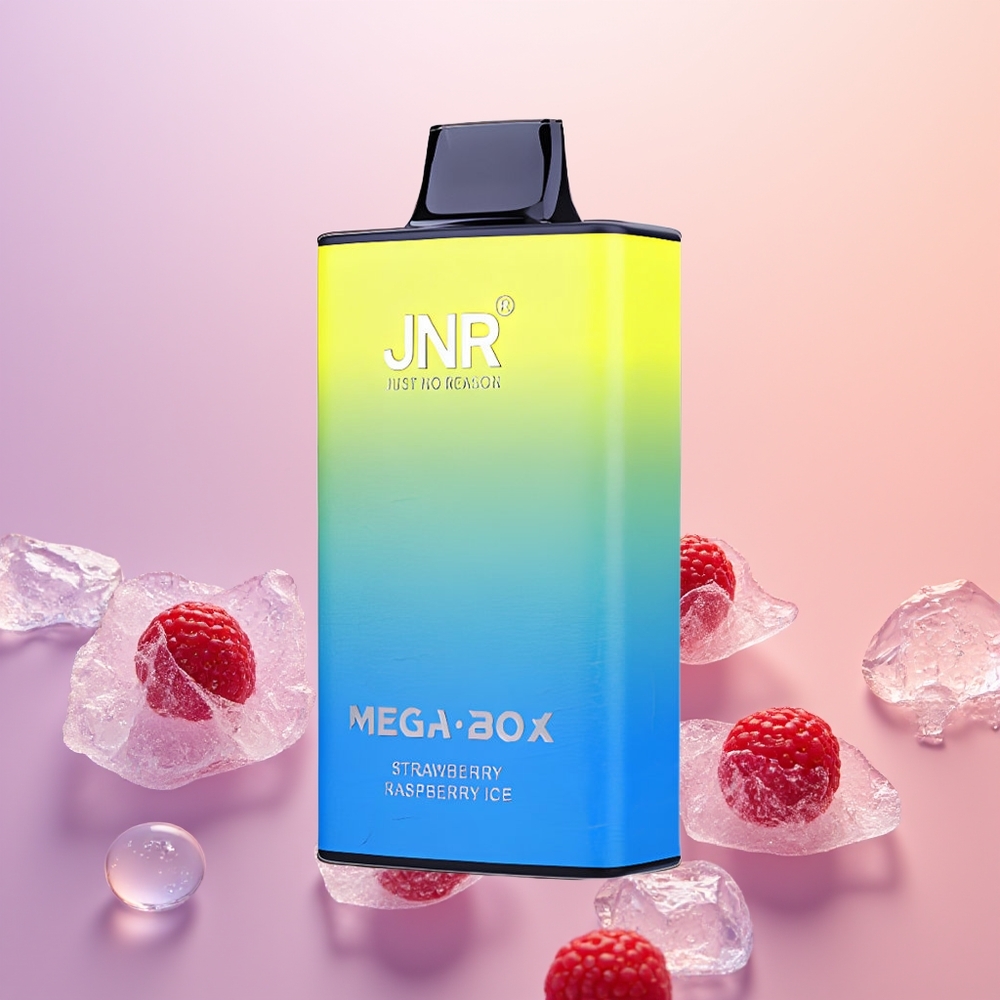 JNR Mega Box 25000 Jordbær Hindbær Is Dual Mesh Type-C