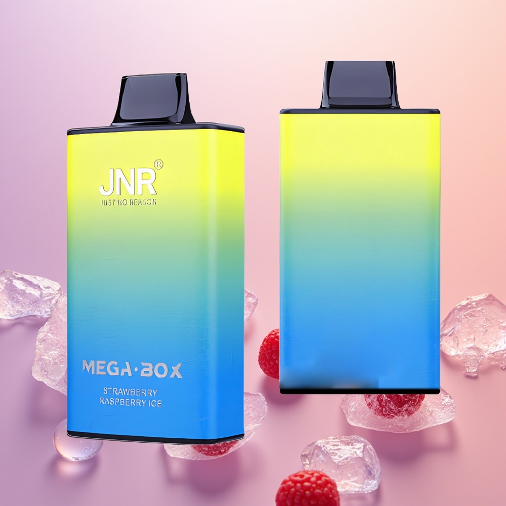 JNR Mega Box 25000 Jordbær Hindbær Is Dual Mesh Type-C
