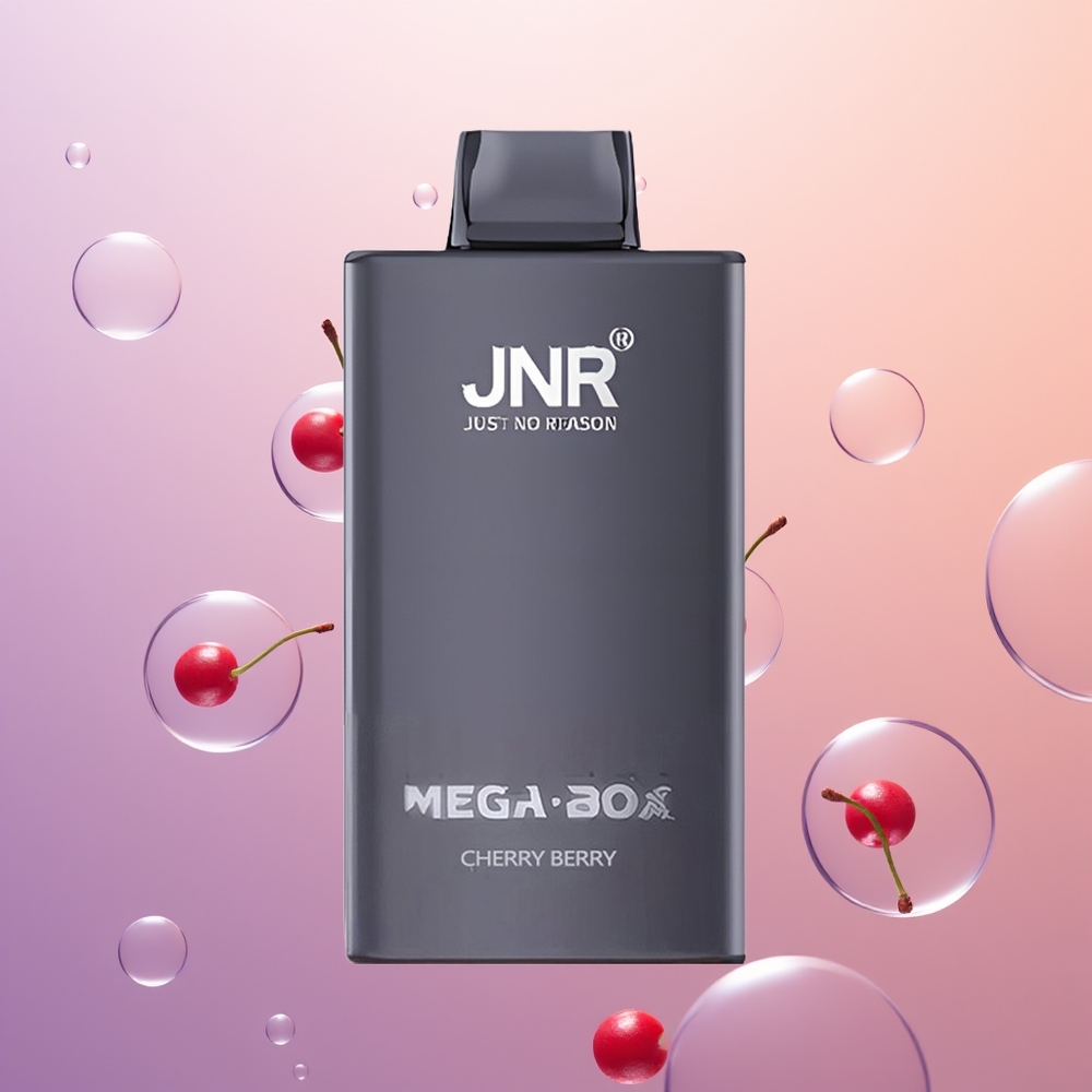 JNR Mega Box 25000 Kirsebær Bær Dual Core Type-C