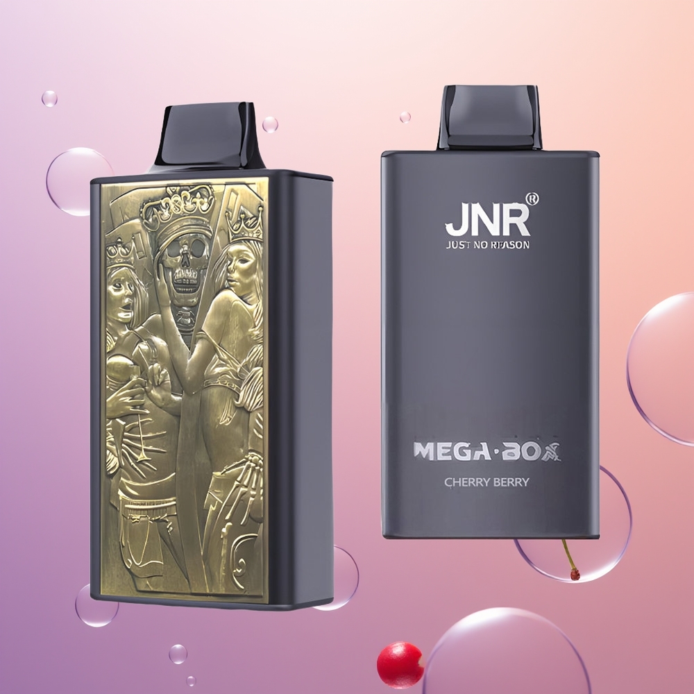 JNR Mega Box 25000 Kirsebær Bær Dual Core Type-C